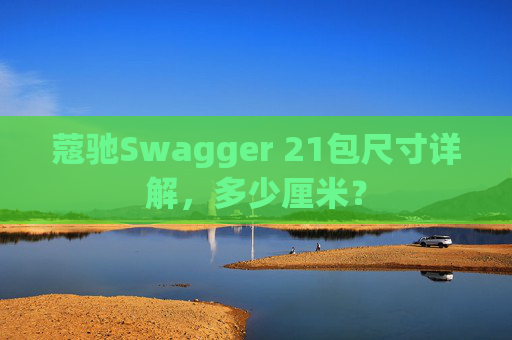蔻驰Swagger 21包尺寸详解，多少厘米？